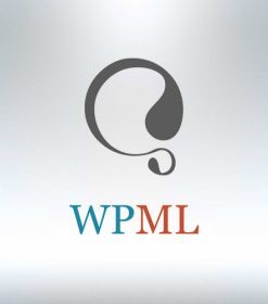 m-wpml-280x280